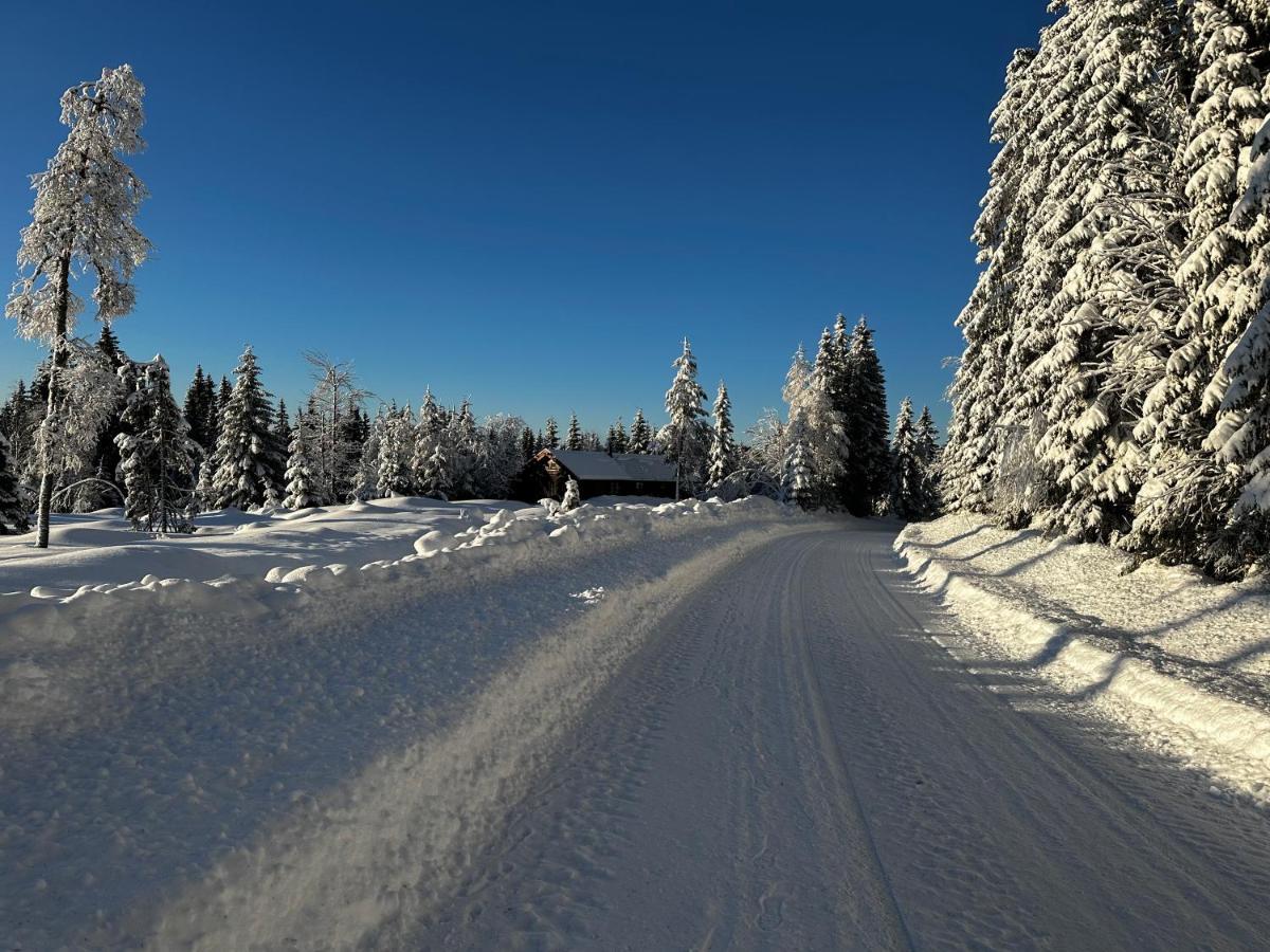 Sore Osen Orbekken Torberget Exterior photo